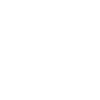 Fast Ez Icon 1