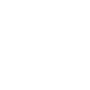 Fast Ez Icon 2